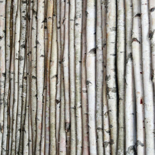 White Birch Poles - Set of 3