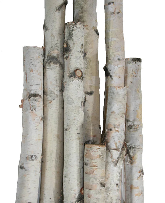 White Birch Poles - Set of 3