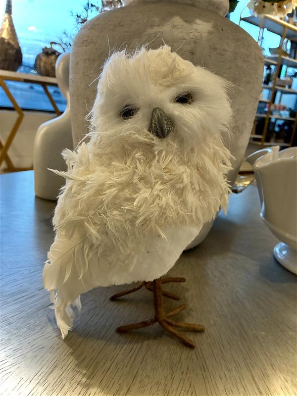 Feathered Snowy Owl