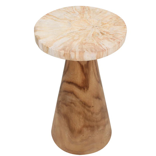 Petrified Wood Pedestal Table  - Black