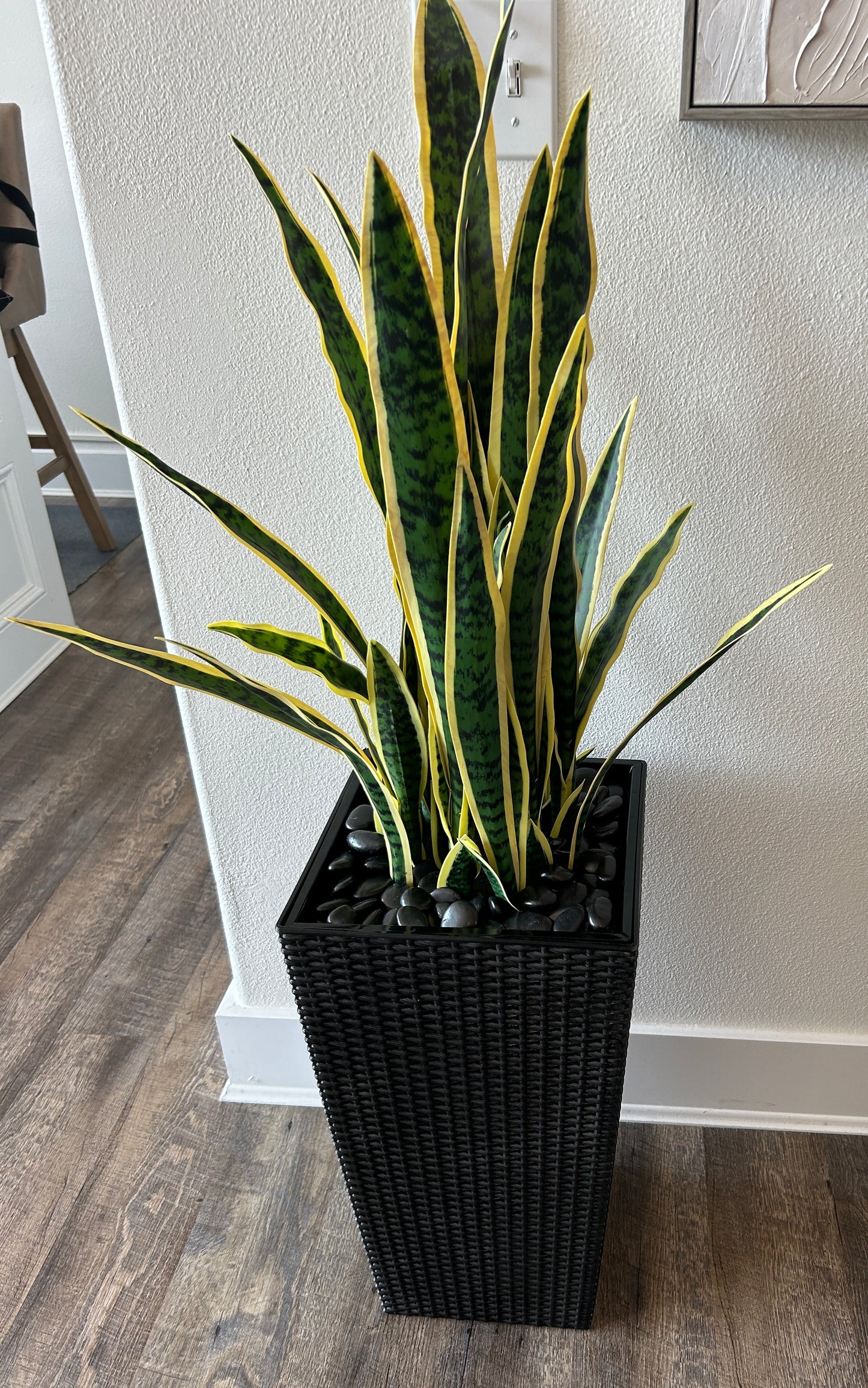 Artificial Snake Plant - 4 Ft
