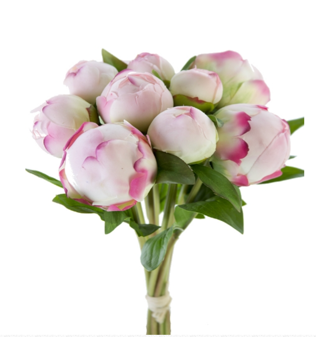 12" FRESH TOUCH PEONY BUD BUNDLE X10