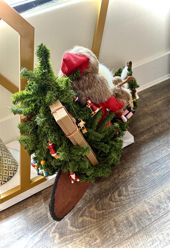 Santa Canoe - Lynn Haney