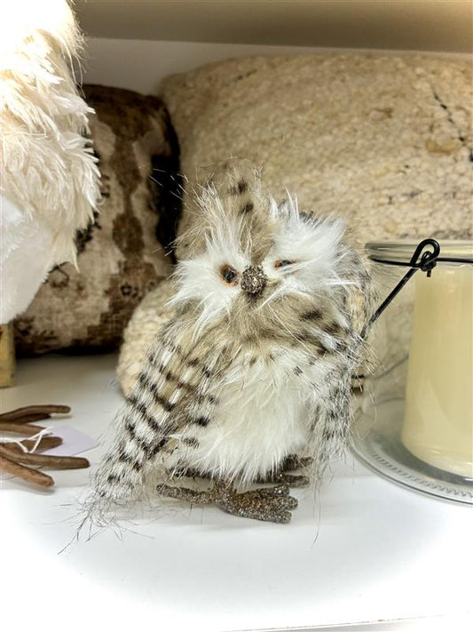 Small Feathered Owl
