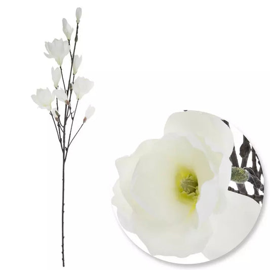 Magnolia Stem - Large