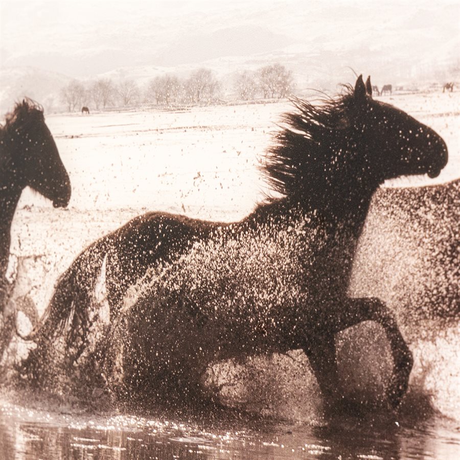 Running Wild