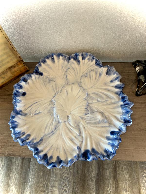 Blue & White Plate