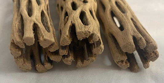 Cholla Choya Wood Combo 4 Pieces