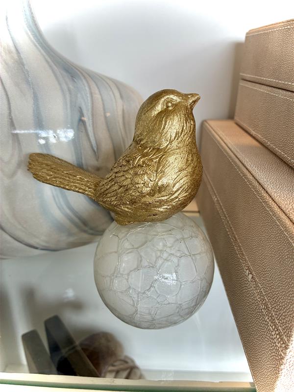 Bird on Ball