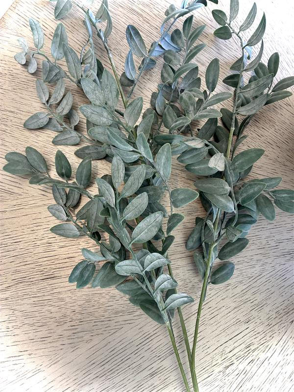 Faux Eucalyptus