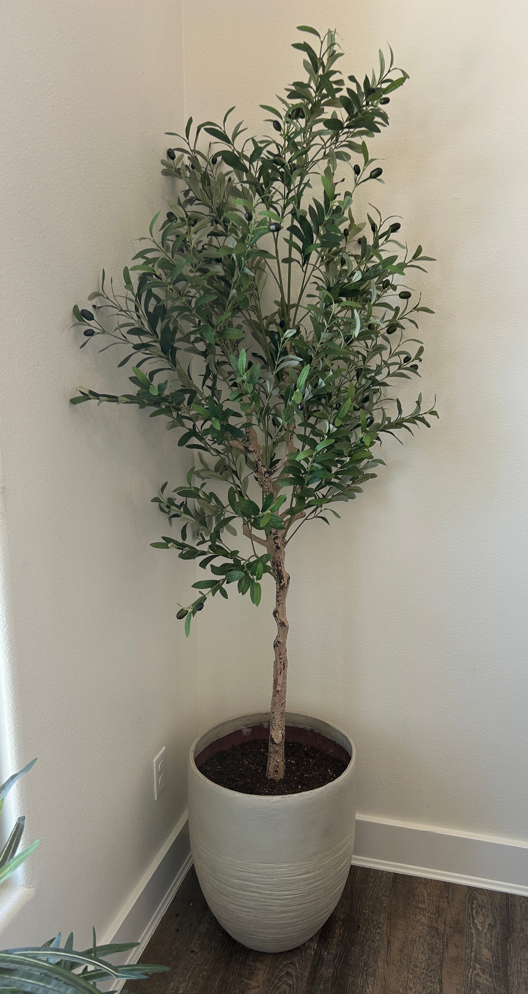 Faux Olive Tree - Potted