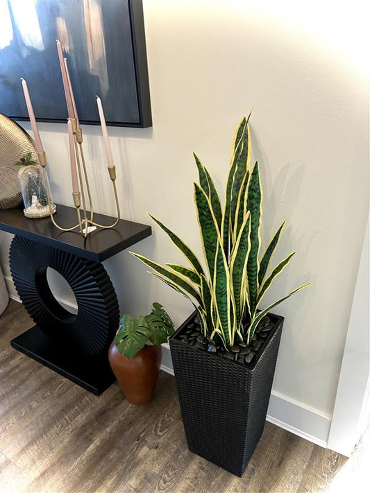 Artificial Snake Plant - 4 Ft