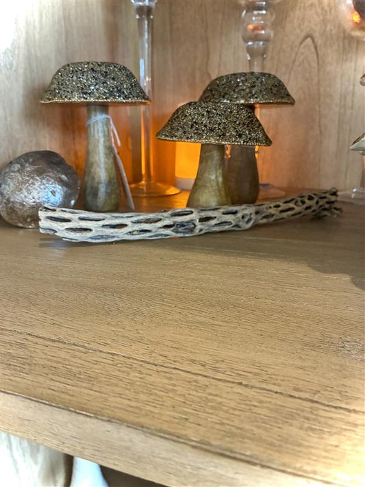 Cholla Choya Wood Combo 4 Pieces