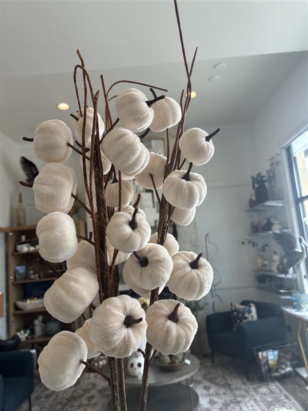 Velvet Pumpkin Branches