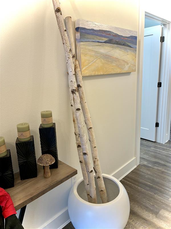 White Birch Poles - Set of 3