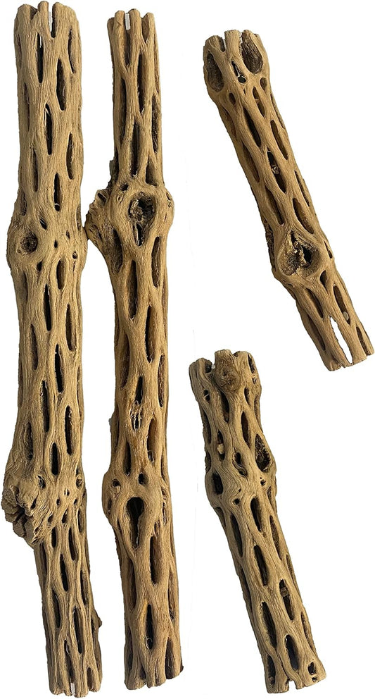 Cholla Choya Wood Combo 4 Pieces